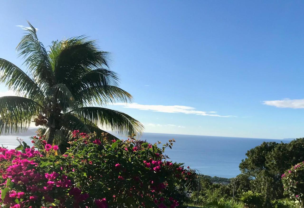 Appartement Prive Eco-Responsable, Vue Sur La Mer Des Caraibes Et Jardin Clos, Wifi, A 2Mn De La Plage Sainte-Luce Eksteriør bilde